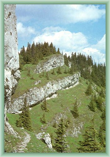 Sk�ly na Ohni�ti