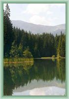 Vrbick� pleso