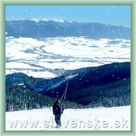 Ski are�l Martinsk� hole