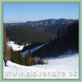 Ski are�l Vern�r-Studni�ky