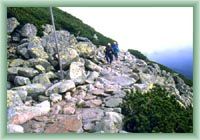 Tatransk� magistr�la