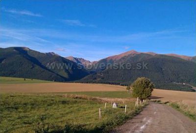 Apartmán 246