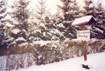Penzion Borky