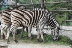 Penzión Michal a Tonka