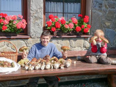 Penzion Tatry Ždiar