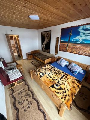 Villa Anita ***