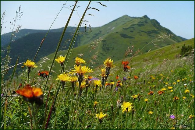 Zahrádka Malé Fatry