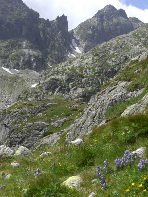 Pod Teryho chatou
červenec 2011