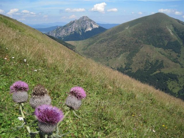 Velký Rozsutec a Stoh