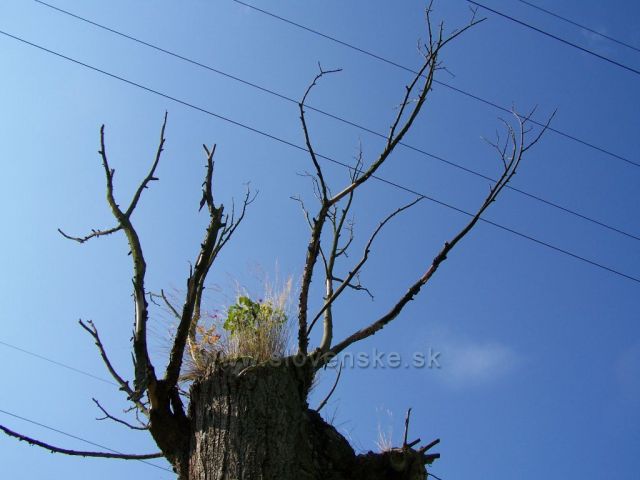 "poslední dech"....