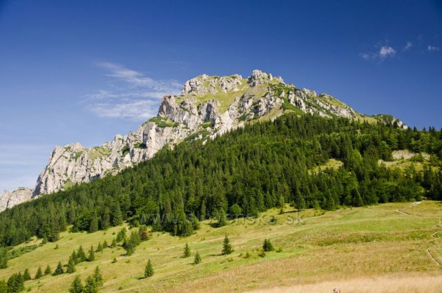 Velký Rozsutec z Medziholie