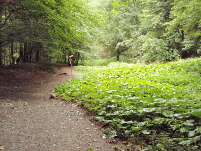 Odbočka k Šútovskému vodopádu