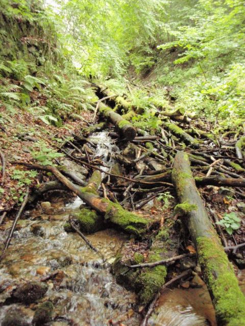 Pod Šútovským vodopádem