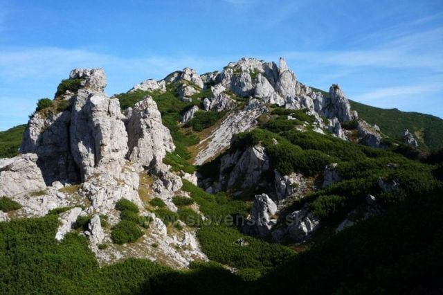 Pod vrcholem Sivého vrchu