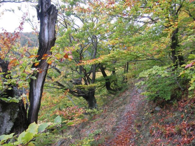 Malá Fatra - Lipovec 8.10.20111
