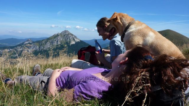 na Gruni, v pozadí Velký Rozsutec