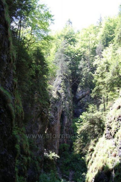 Terchova Janosikove diery