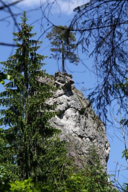 Terchova Janosikove diery