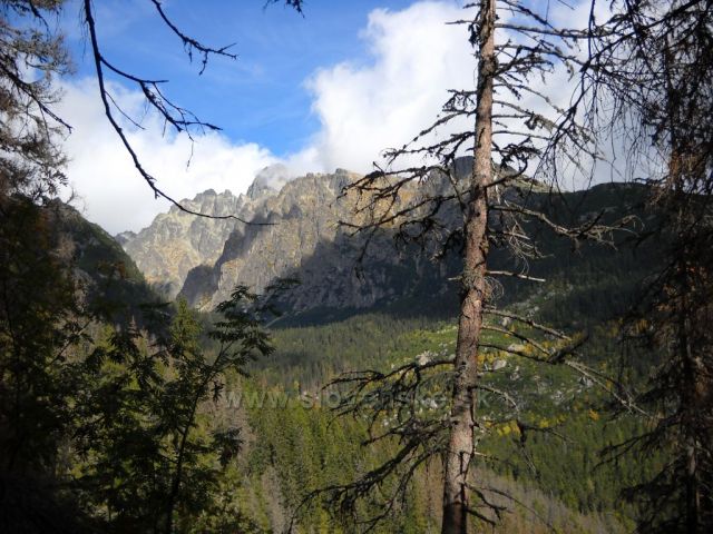 Vysoké Tatry, Malá Studená dolina