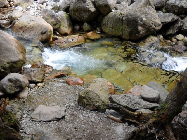 Vysoké Tatry, Malá Studená dolina
