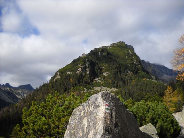 Vysoké Tatry, Malá Studená dolina