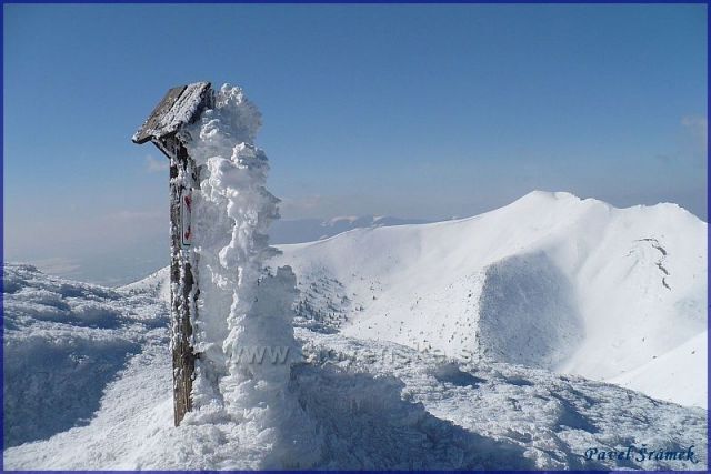 Hrana Veľkého Kriváňa