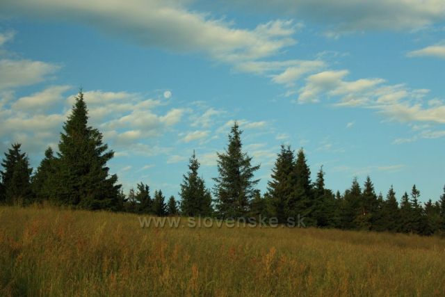 Na hřebeni Medralowe u salaše