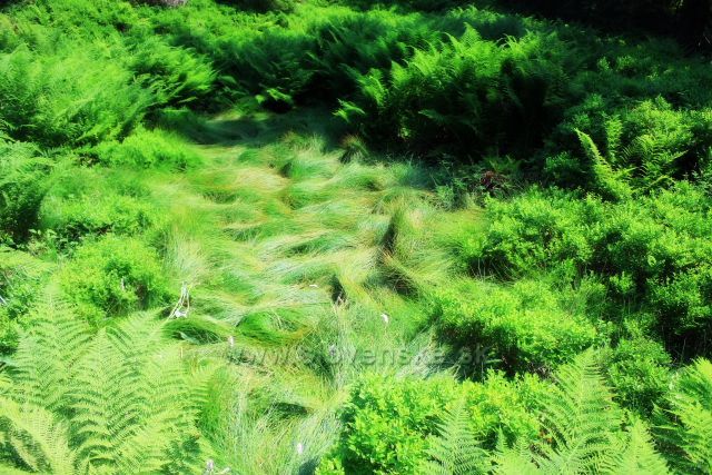 Zastavení cestou z Malé Babí hory