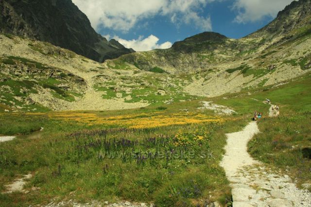 Kvetnica cestou na Polský hřeben