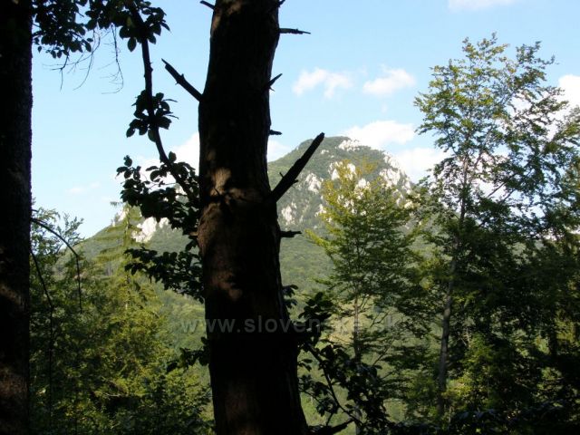 Foto z okolí Vrútky