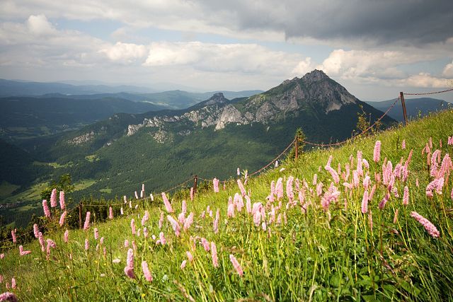 Velký Rozsutec z Poludnového Grúnu