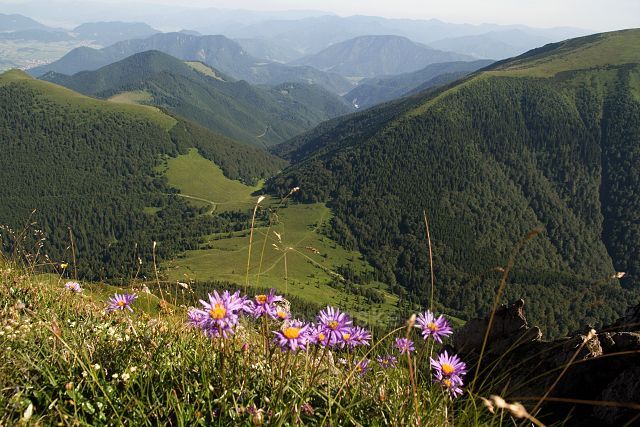 Sedlo Medziholie z Rozsutce
