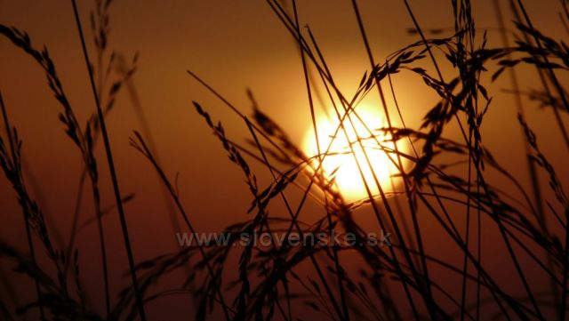 východ slunce v Malých Karpatech