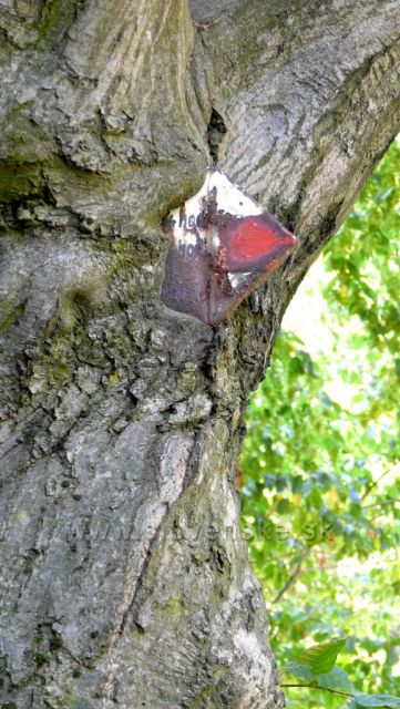 rozcestník, který poradí