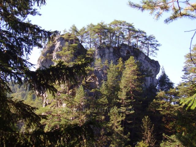 Malá Fatra Těrchová cestou na Malý/Velký Rozsutec