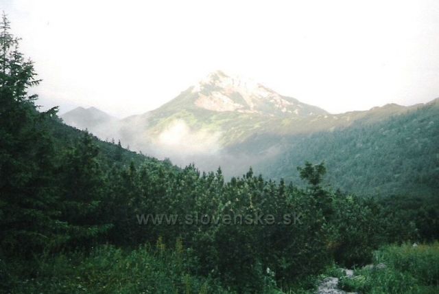 Sivý vrch (ze sedla Pálenica)