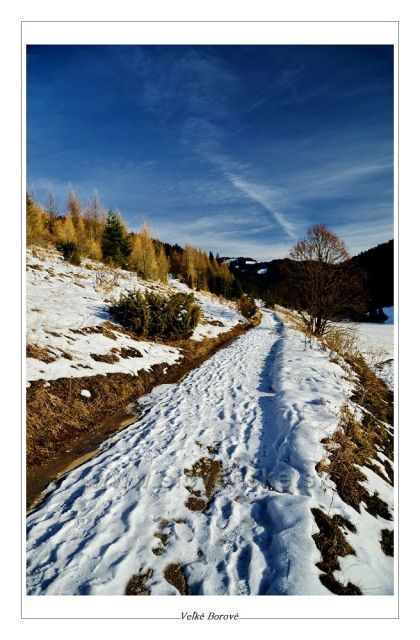 Veľké Borové
