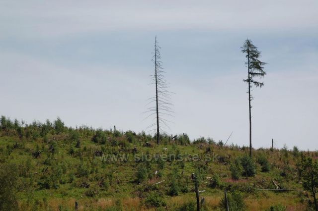 Smutný pohled na Vysoké Tatry - Starý Smokovec