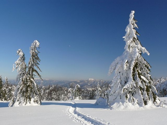 Tesne pod vrcholom na Strážove