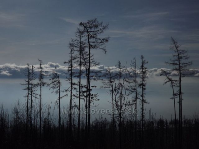 Hrebienok/marec 2014