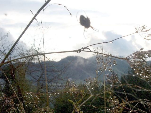 Slovenské pohraničí Korňa