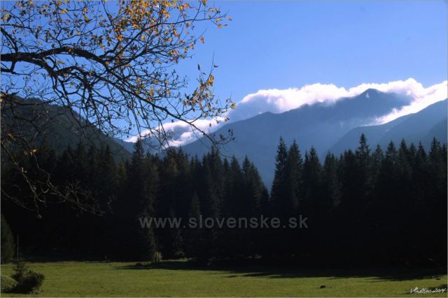 Roháče od Zverovky