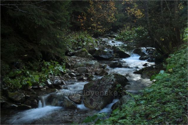 Krásný potok Látaná.