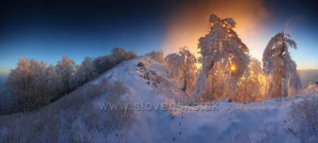 pod vrcholom Vysoká, Malé Karpaty