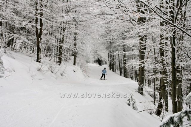 běžky, pěšky,...