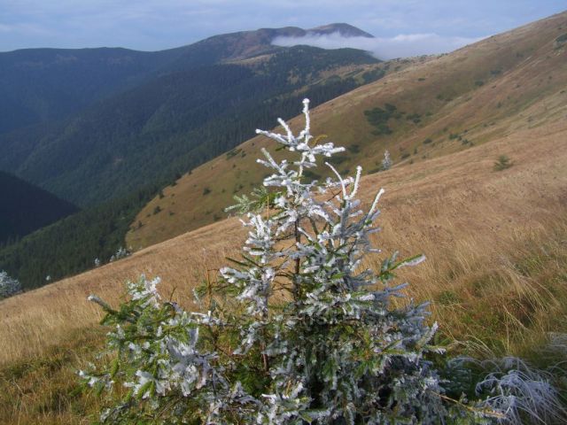 v dálce Prašivá.....