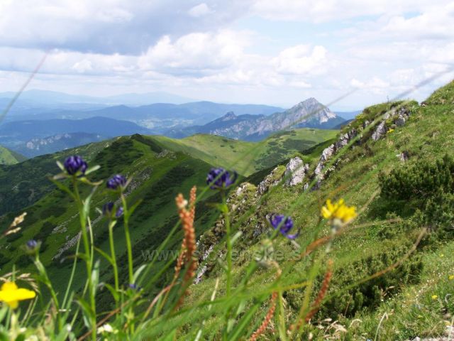 voňavou stezkou.....