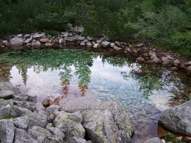 vznešená horská plesa v Roháčích......