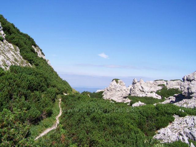 "nedělní procházka" po Sivém vrchu...