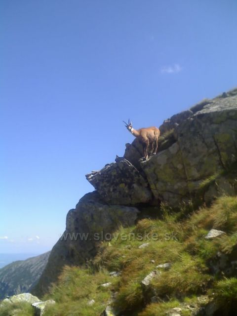 Nad Červeným plesem